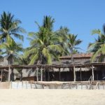 Mexique: La plage sublime de Mazunte