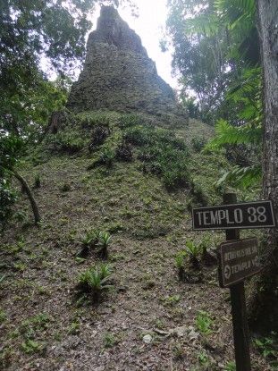 Un ancien temple maya en ruine à Tikal au Guatemala photo blog voyage tour du monde travel https://yoytourdumonde.fr
