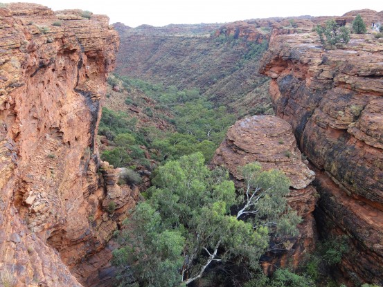 kings-canyon-australie-outback-travel-voyage