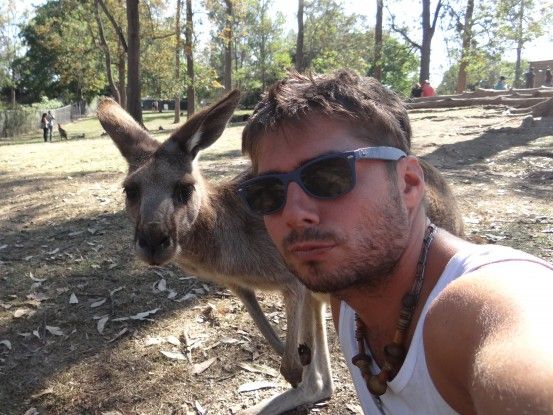 australie-brisbane-sanctuaire-koala-kangouroux-voyage-travel