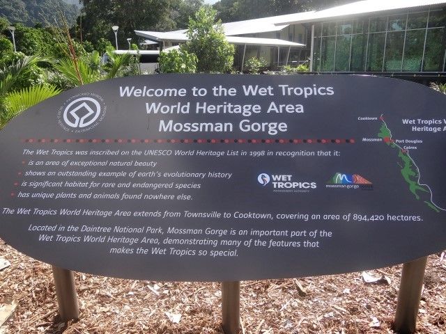 Australie- Queensland: Cette partie de la foret humide est aussi inscrite au Patrimoine Mondiale de l'Unesco.