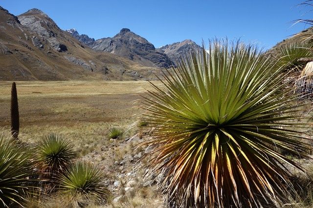 Perou-Huaraz: Sur la route en direction du Glacier Pastouri.