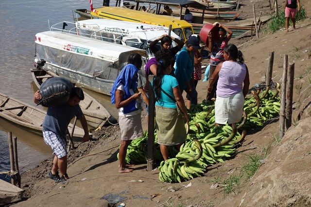 Voyage au Perou- Lagunas: Les vendeurs de bananes viennent d'arrivé. C'est la cohue. 