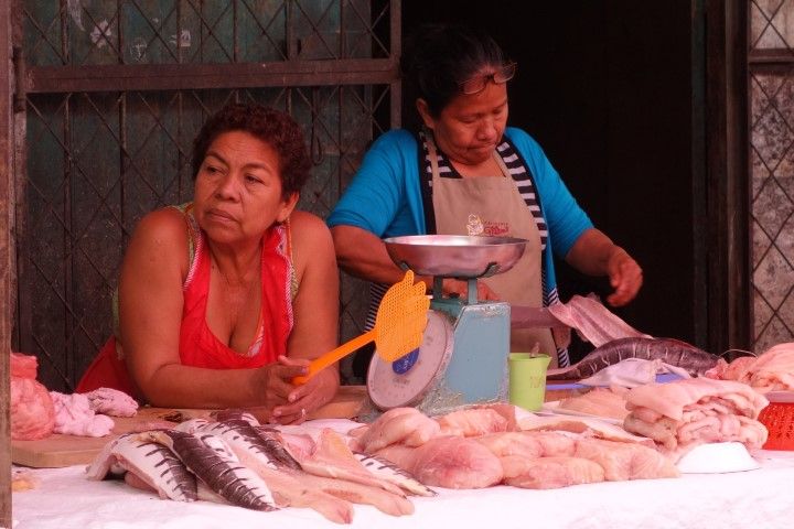 Perou-Iquitos: Marché de Belen, le stand poissons!