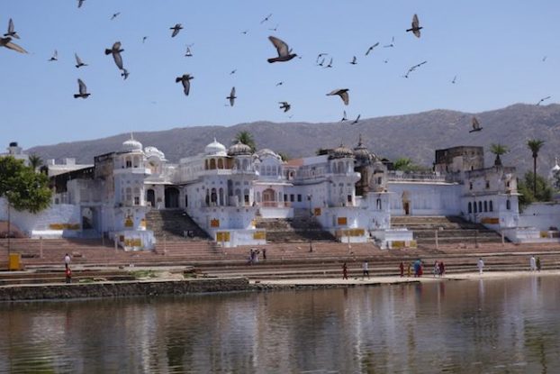 Pushkar dans le rajasthan en inde est une ville sainte avec de nombreux pelerinage. Brahma a fait tomber un lotus sur cette ville photo ghats pushkar blog voyage tour du monde https://yoytourdumonde.fr