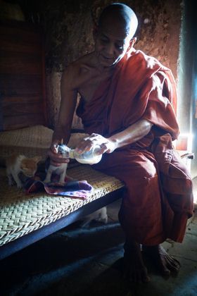 moine-bouddhiste-myanmar-birmanie