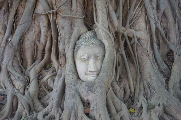 thailande-ayutthaya-unesco-travelling-voyage-tete-bouddha