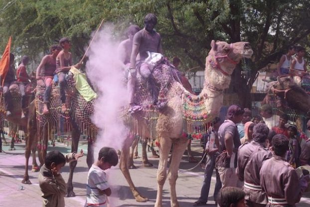 les locaux font la fete des couleurs ou de holi accompagné par leurs chameaux pour le plus grand plaisir des touristes, cela donne une tonalité encore plus indienne photo voyage tour du monde https://yoytourdumonde.fr