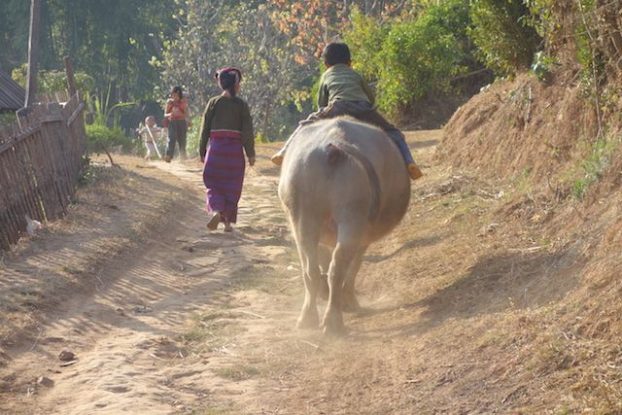 la vie continue du coté des montagnes de l'etat Shan malgré des tensions photo blog voyage tour du monde https://yoytourdumonde.fr