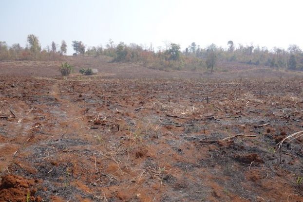 champs brulé du coté de hsipaw photo blog voyage tour du monde https://yoytourdumonde.fr