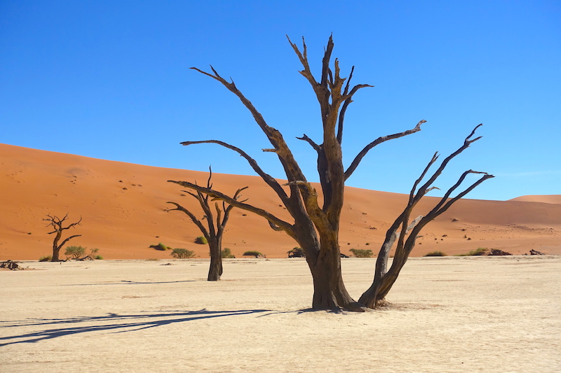 Déserr de Namibie Deadvlei photo blog voyage tour du monde travel https://yoytourdumonde.fr