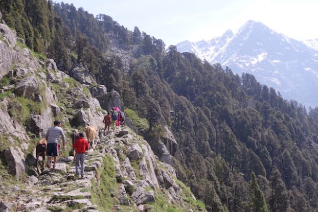 Les montagnes qui encerclent Triund Hill sont magnifiques des treks pres de Dharamsala n'attendent plus que vous! Inde photo voyage blog tour du monde https://yoytourdumonde.fr 