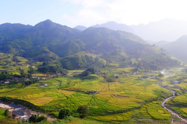 Beauté des rizières en terrasses de Sapa au Vietnam photo blog voyage tour du monde https://yoytourdumonde.fr