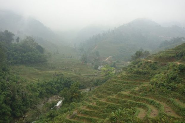 Terrasses en rizières entre Lao Cai et Sapa.