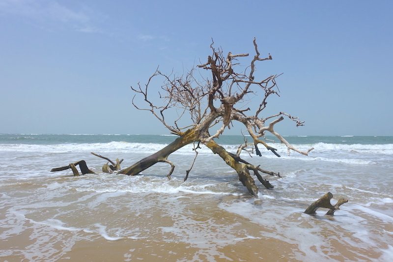 Une plage proche de Diembering en Casamance photo blog voyage tour du monde https://yoytourdumonde.fr