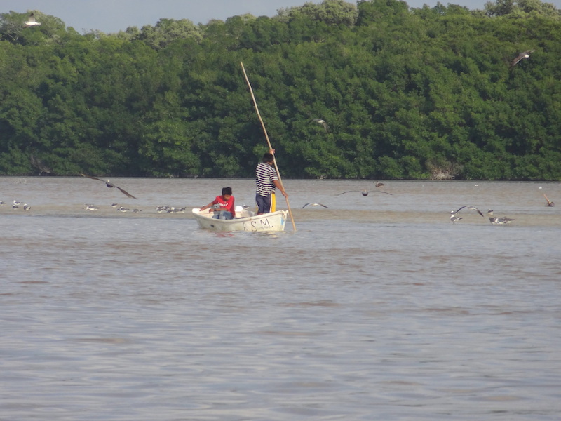 Locaux qui pêchent à Celestun au Mexique photo blog voyage tour du monde travel https://yoytourdumonde.fr