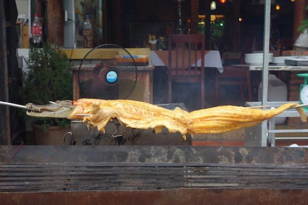 a mui ne au sud du vietnam vous pouvez manger du crocodile blog https://yoytourdumonde.fr