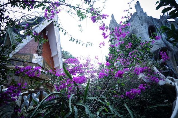 Vietnam - Dalat: Photo du Crazy Hotel de Dalat entre enchantement et fleurs. 