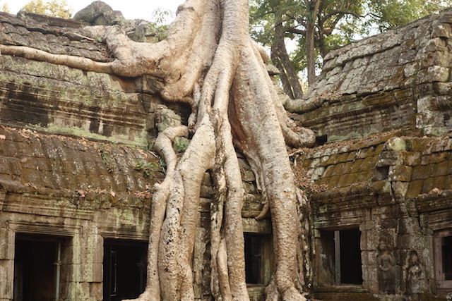 Superbe temple d'Angkor au Cambodge photo blog http://yoytourdumonde.fr