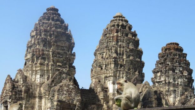 temple-lopburi-singe-travelling-voyage