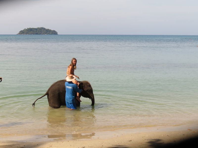 elephant-mer-koh-chang-thailande