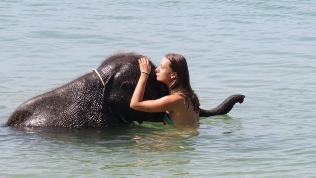 thailande-touriste-elephant-voyage-travelling