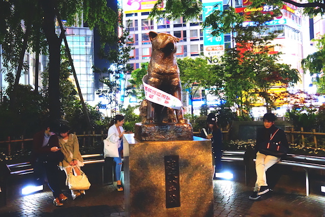 C'est dans le quartier de Shibuya que vous allez voir la statue de Hatchi dans le centre de Tokyo. Photo blog voyage tour du monde https://yoytourdumonde.fr