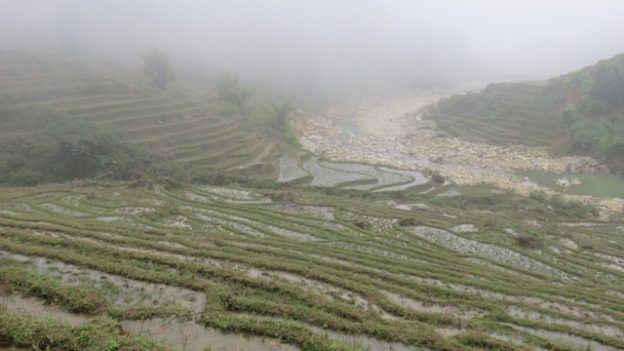 Sapa rizieres terrasse photo blog tour du monde https://yoytourdumonde.fr